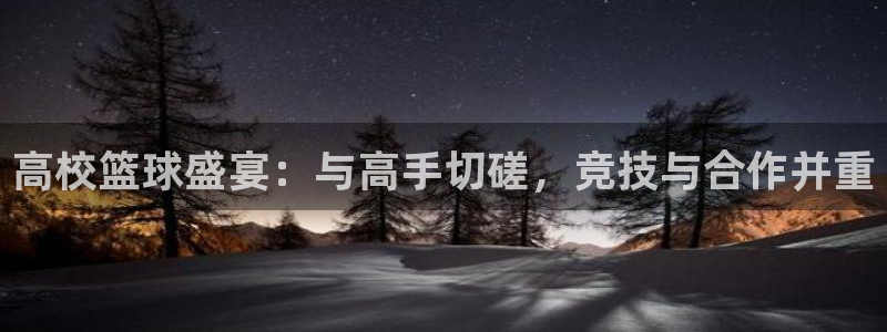 意昂4登陆：高校篮球盛宴：与高手切磋，竞技与合作并重