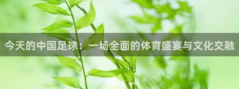 意昂4娱乐平台：今天的中国足球：一场全面的体育盛宴与文化交融