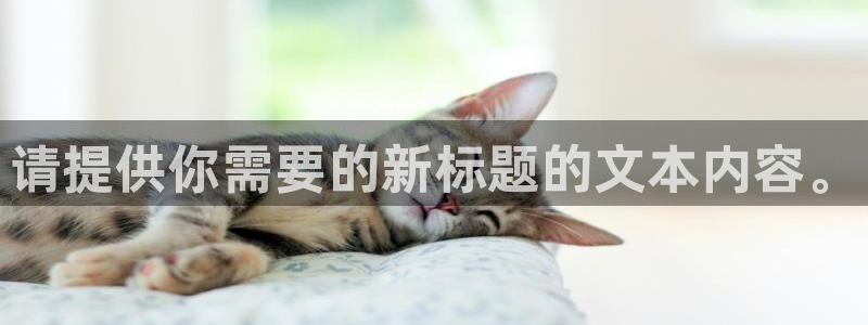 意昂4登陆：请提供你需要的新标题的文本内容。