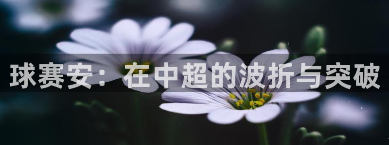 凯捷体育：球赛安：在中超的波折与突破