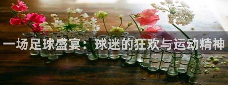意昂4官网入口：一场足球盛宴：球迷的狂欢与运动精神